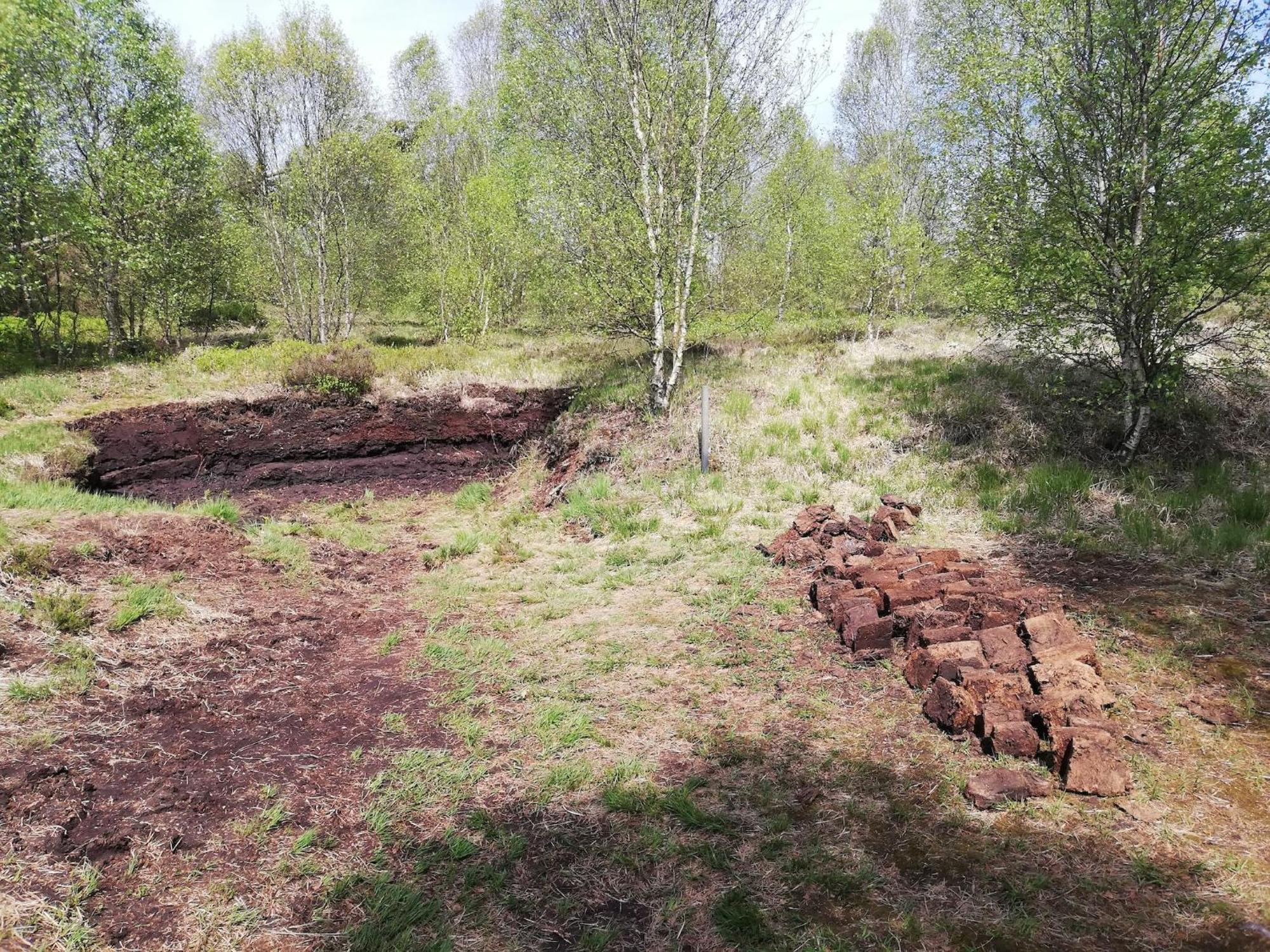 Picture Perfect Holiday Home In Sourbrodt With Garden Bbq Eksteriør bilde